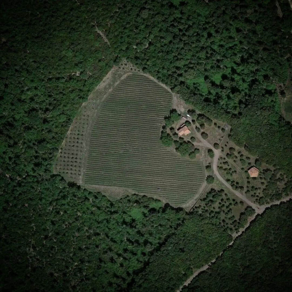 Vista della tenuta di San Guglielmo dall'alto. La tenuta ha l'aspetto di un cuore